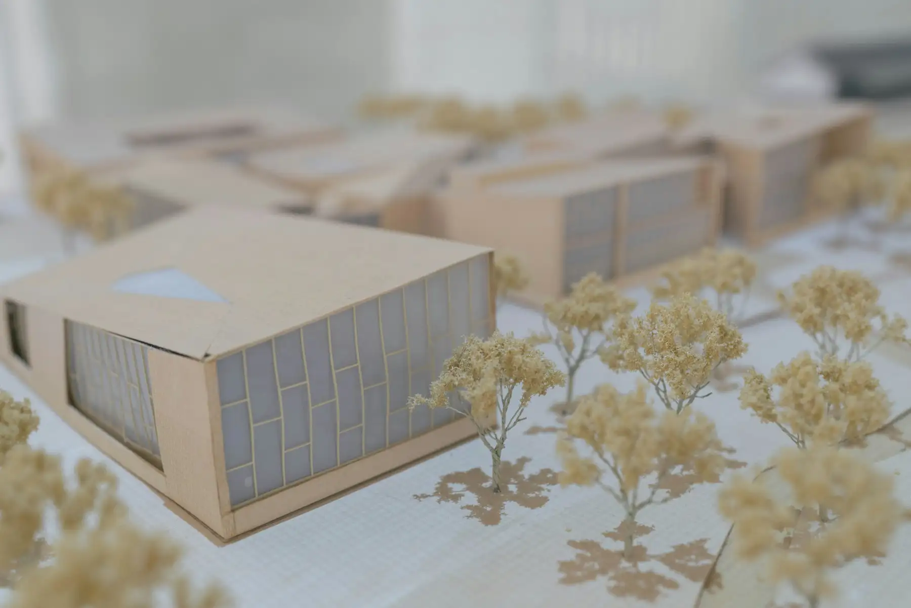 White and timber architectural model on a table
