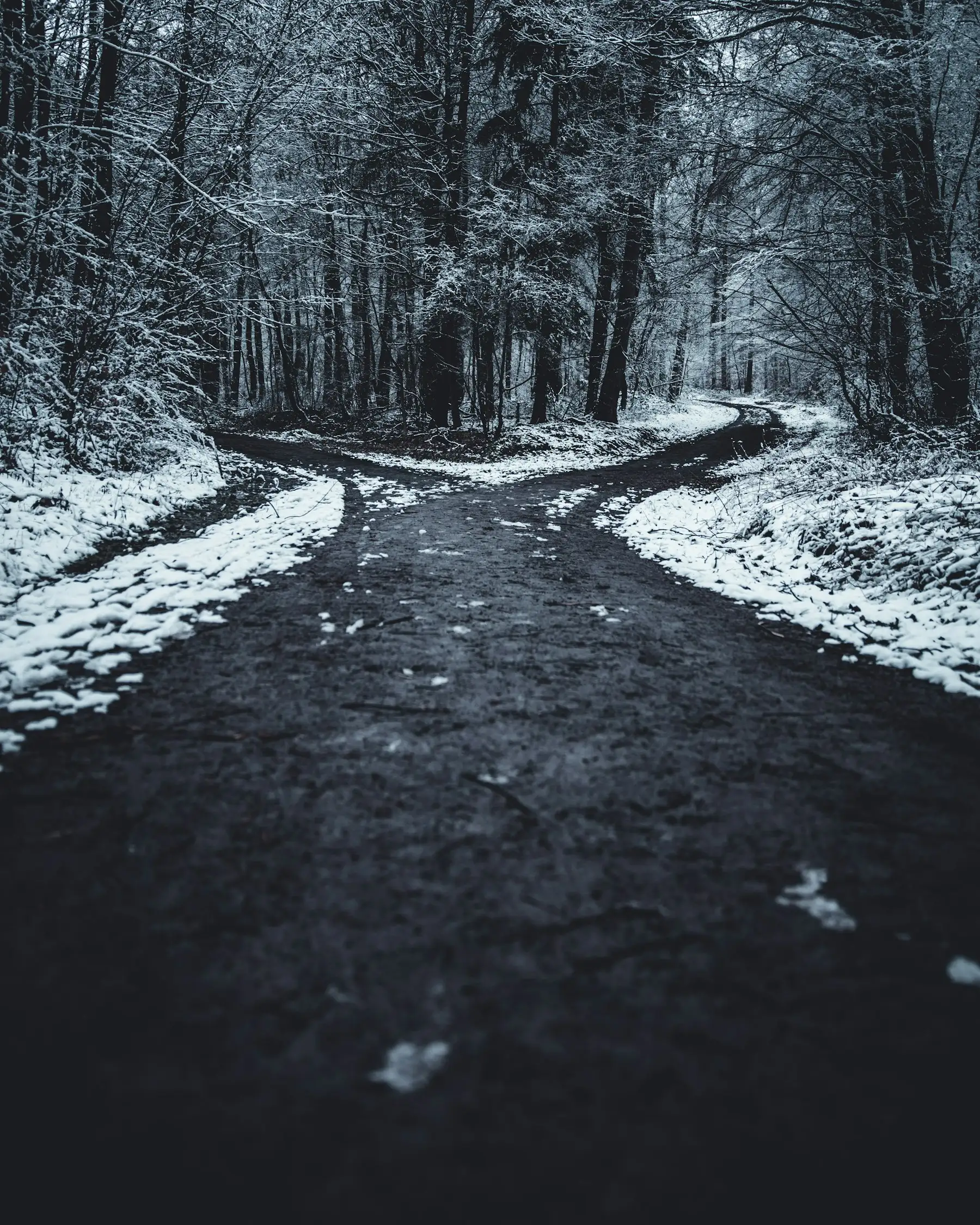 A road splitting in two through a snowy forest